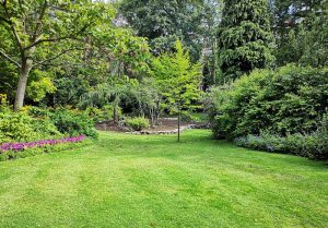Optimiser l'expérience du jardin à Varennes-le-Grand